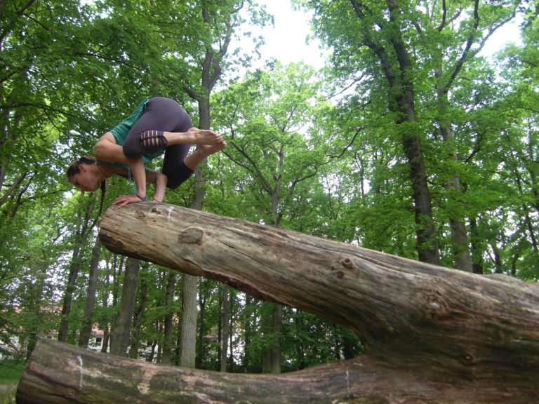 cour yoga entreprise la roche-sur-yon cours tous niveau
