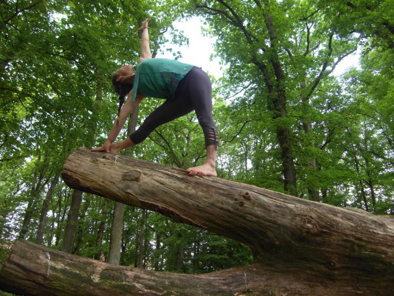 yoga entreprise la roche sur yon yoga debutant centre ville
