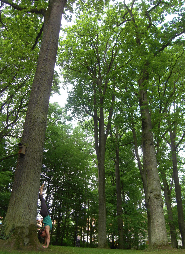 yoga nature vendee cours particulier