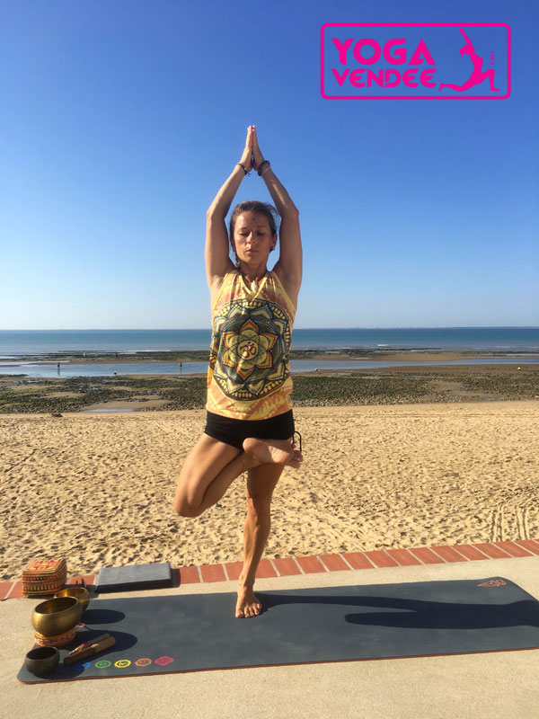 yoga vendee la roche sur yon cour de yoga