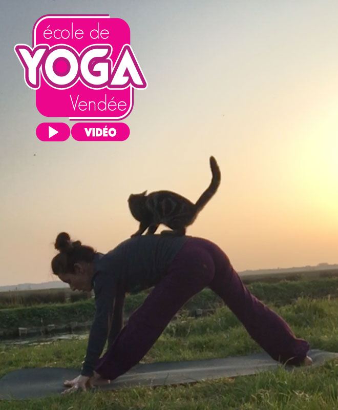 vidéo cours de yoga vendée la roche sur yon la maison des medecines douces