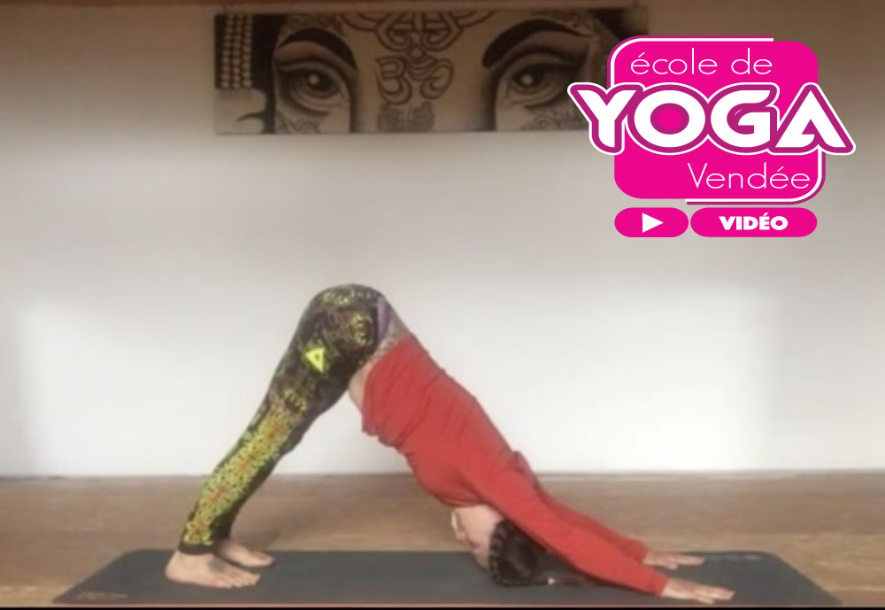 video gratuit cours de yoga la roche sur yon vendee